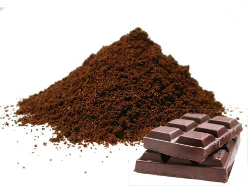 Le chocolat : de la gourmandise aux bienfaits sur la santé Envie de Bien